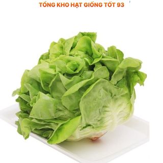 Hạt giống rau xà lách búp đăm gói 2gram hàng công ty