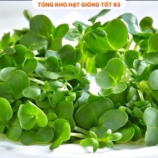 Hạt giống Rau Xà lách Xoong Mỹ (cải xoong) năng suất cao hàng công ty Loại 1