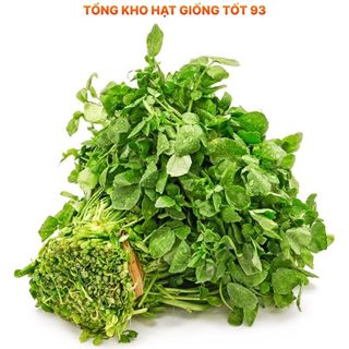Hạt giống Rau Xà lách Xoong Mỹ (cải xoong) năng suất cao hàng công ty Loại 1