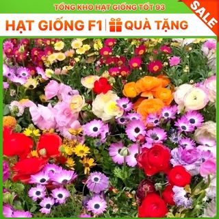 Tổng hợp 25 loại hạt giống hoa dễ trồng Hàng công ty Loại 1