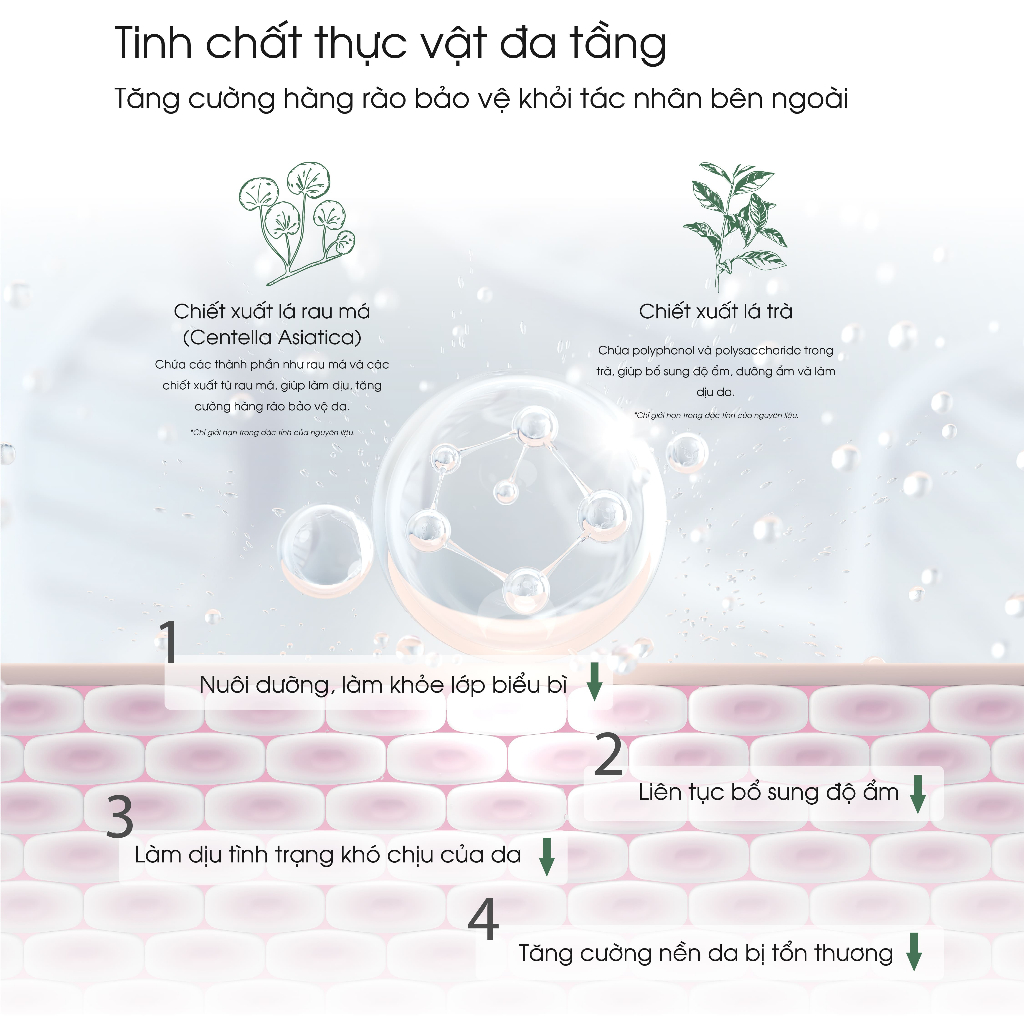 Xịt Khoáng Rau Má DERMABELL Chiết Xuất Rau Má, Phục Hồi, Làm Dịu Da Cica Forest Soothing Mist 200ml
