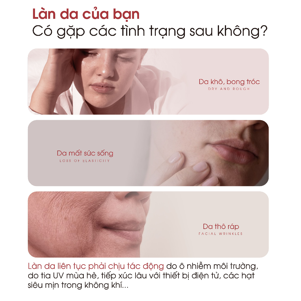 Xịt Khoáng Hoa Hồng DERMABELL Dưỡng Ẩm Làm Dịu Da Cho Làn Da Rạng Rỡ Rose Toner Balancing Mist 200ml