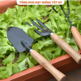 Bộ dụng cụ làm vườn MINI dài 12cm siêu chắc chắn hàng công ty