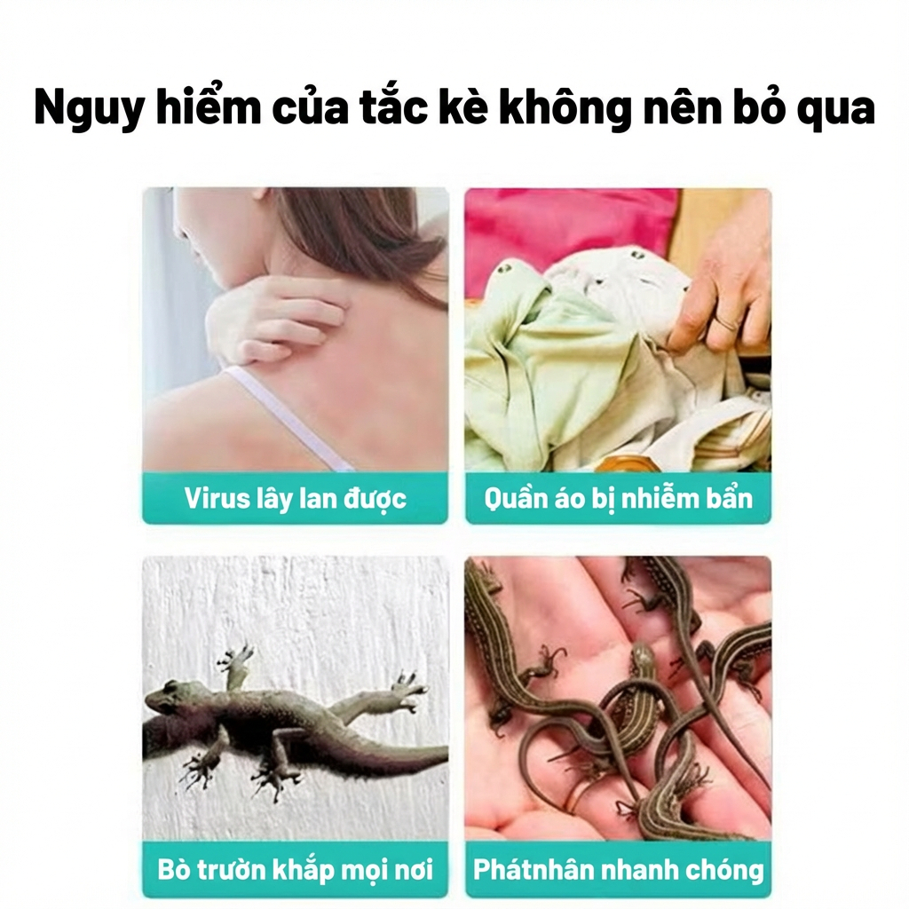 M1T1 thuốc diệt thạch sùng - diệt thằn lằn trong nhà cực hot, thằn lằn tự bỏ chạy