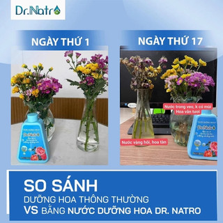 Nước Dưỡng Hoa DR.NATRO 300ml Chính hãng – Giúp Hoa Tươi Lâu, Phục Hồi & Nuôi Dưỡng Cành Hoa