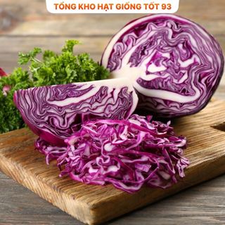 Hạt giống bắp cải tím hàng công ty Loại 1
