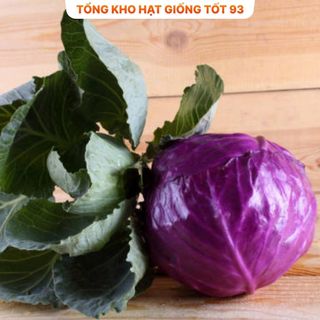 Hạt giống bắp cải tím hàng công ty Loại 1