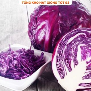 Hạt giống bắp cải tím hàng công ty Loại 1