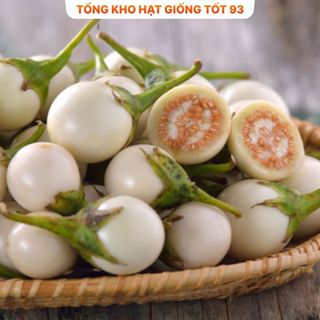 Hạt giống cà pháo trắng năng suất cao - hàng công ty Loại 1