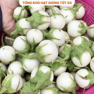 Hạt giống cà pháo trắng năng suất cao - hàng công ty Loại 1