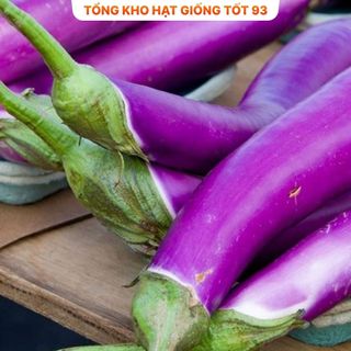 Hạt giống cà tím năng suất cao - hàng công ty Loại 1