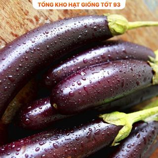 Hạt giống cà tím năng suất cao - hàng công ty Loại 1