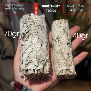 WHITE SAGE 10cm 40grm- xô thơm trắng miền bắc nước Mỹ thanh tẩy và thu hút năng lượng an lành
