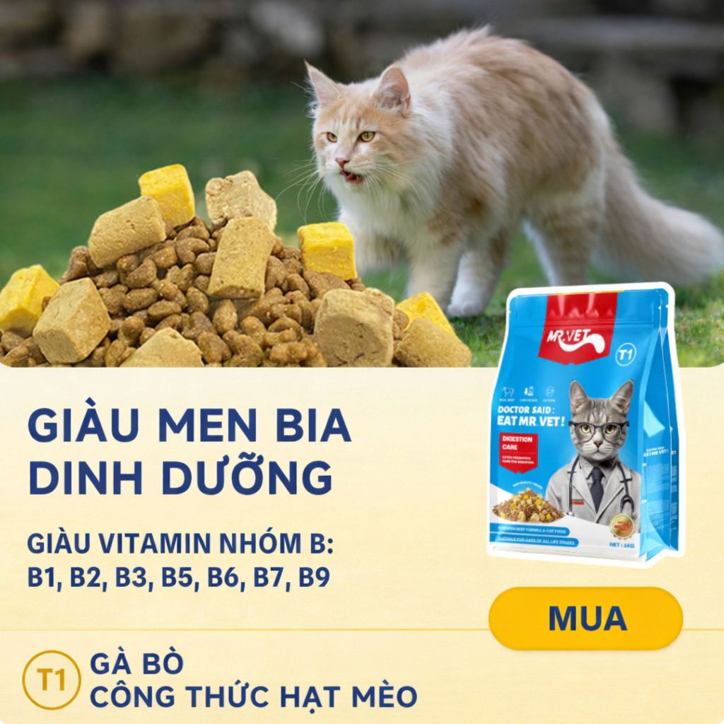 Hạt cho mèo MRVET T1 gói 1KG 3 Loại Topping Thức ăn cho mèo 30% Protein