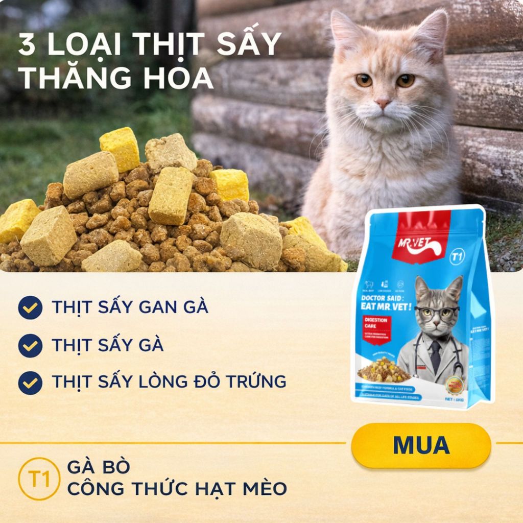 Hạt cho mèo MRVET T1 gói 1KG 3 Loại Topping Thức ăn cho mèo 30% Protein