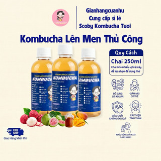 Trà Lên Men Kombucha Vị Trái Cây Chứa Men Vi Sinh, Lợi Khuẩn - Trà Kombucha Chai 250ml