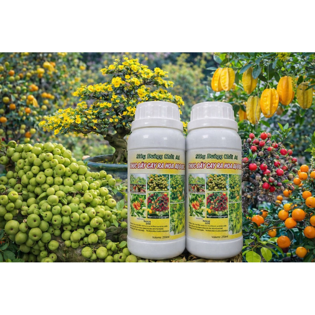 siêu dưỡng chất giúp cây ra hoa đậu quả
