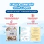 Thịt hàu Hàn Quốc tách vỏ nguyên con Thế Giới Hải Sản đông công nghệ IQF túi 300g, nấu cháo chiên trứng