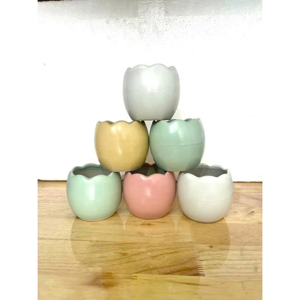 Chậu Trồng Cây Hình Trứng (Kích Thước 7x7cm) Mix Nhiều Màu, Dùng Để Trồng Cây Mini, Sen Đá