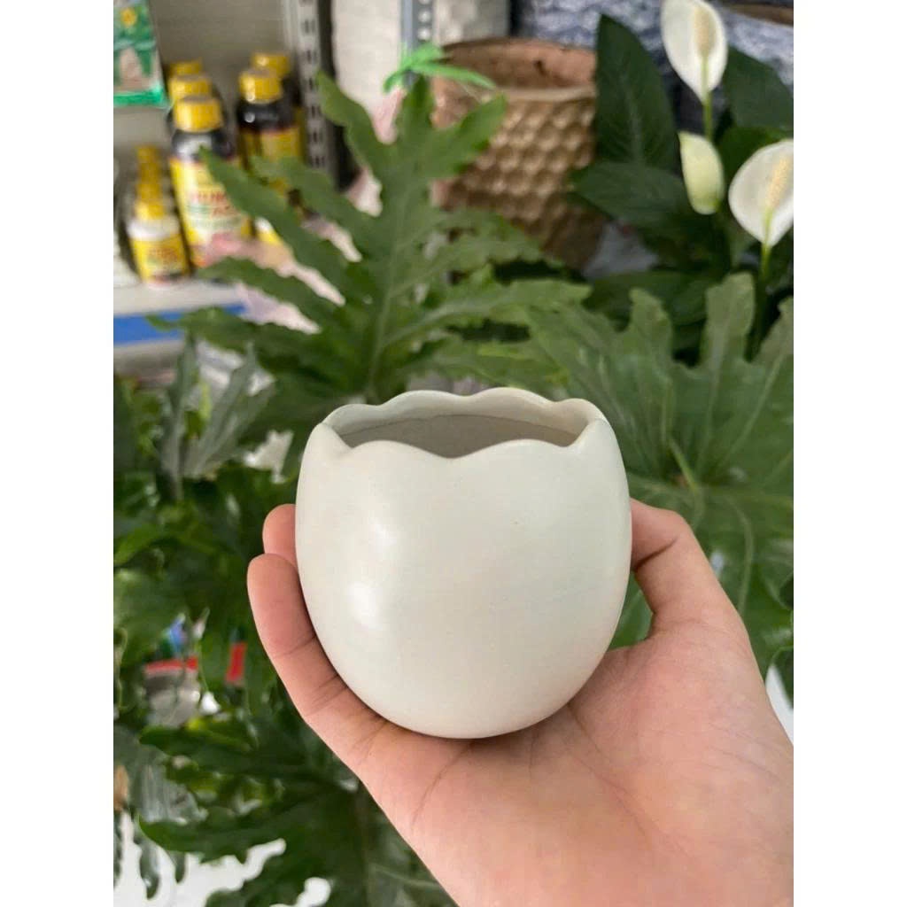 Chậu Trồng Cây Hình Trứng (Kích Thước 7x7cm) Mix Nhiều Màu, Dùng Để Trồng Cây Mini, Sen Đá