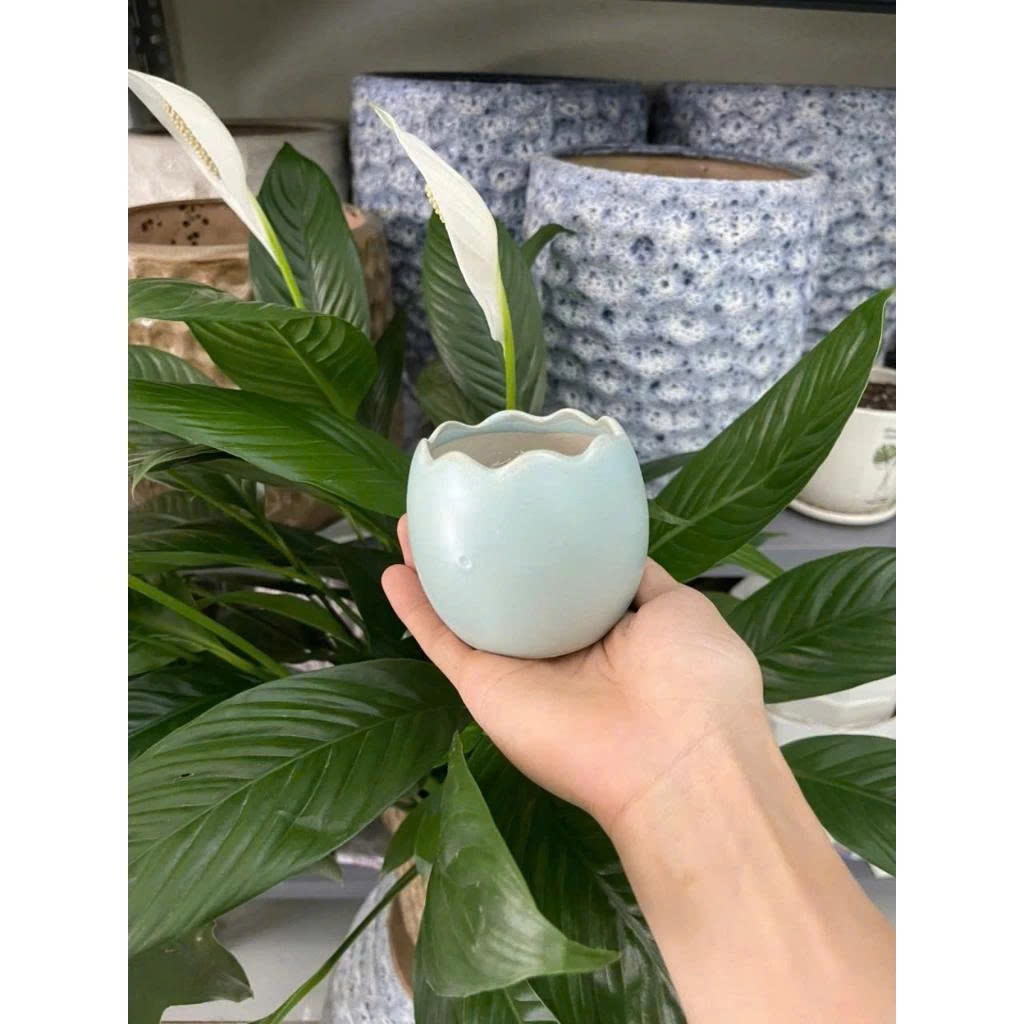 Chậu Trồng Cây Hình Trứng (Kích Thước 7x7cm) Mix Nhiều Màu, Dùng Để Trồng Cây Mini, Sen Đá