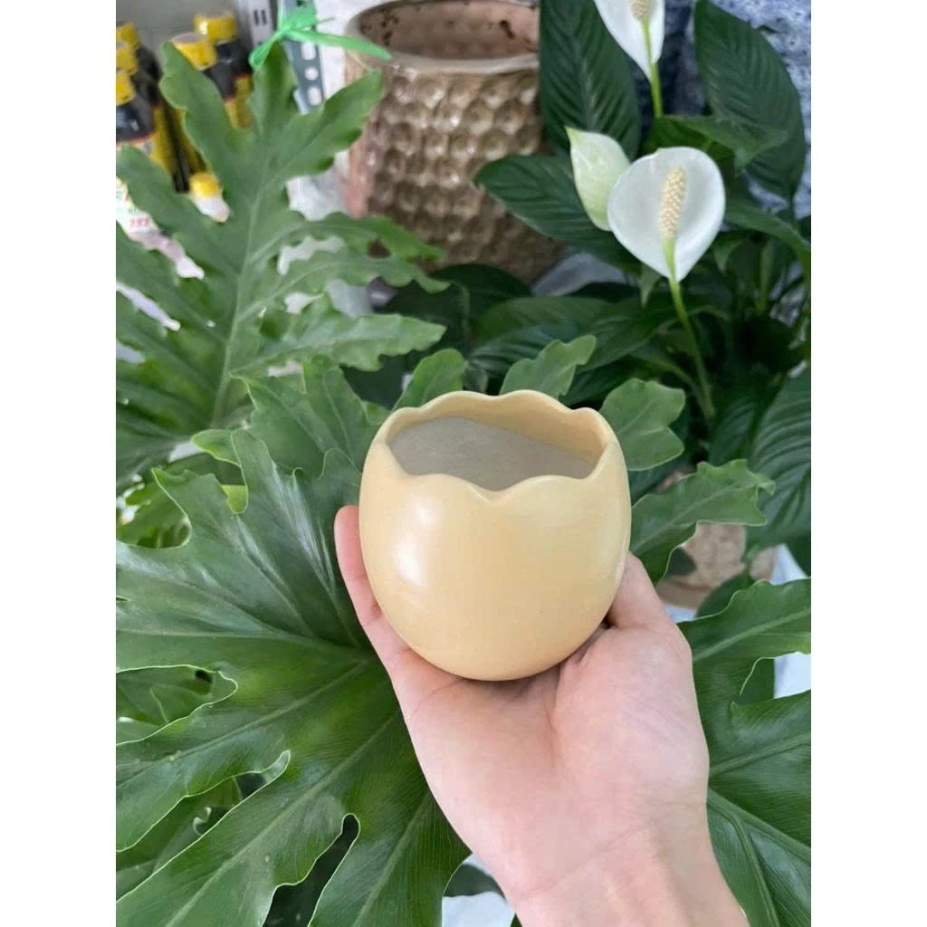 Chậu Trồng Cây Hình Trứng (Kích Thước 7x7cm) Mix Nhiều Màu, Dùng Để Trồng Cây Mini, Sen Đá