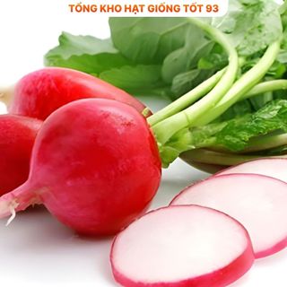 Hạt giống củ cải đỏ giàu dinh dưỡng, làm cảnh - hàng công ty Loại 1