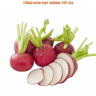 Hạt giống củ cải đỏ giàu dinh dưỡng, làm cảnh - hàng công ty Loại 1