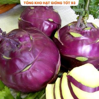 Hạt giống su hào Tím hàng- công ty Loại 1