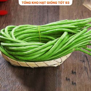 Hạt giống Đậu Đũa năng suất cao - hàng công ty Loại 1