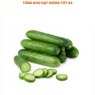 Hạt giống Dưa leo bao tử F1 - hàng công ty Loại 1
