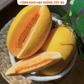 Hạt giống Dưa lưới vàng năng suất cao  hàng công ty Loại 1