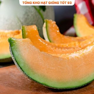 Hạt giống dưa lưới da xanh năng suất cao hàng công ty Loại 1