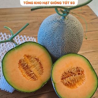 Hạt giống dưa lưới da xanh năng suất cao hàng công ty Loại 1