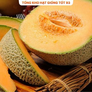 Hạt giống dưa lưới da xanh năng suất cao hàng công ty Loại 1