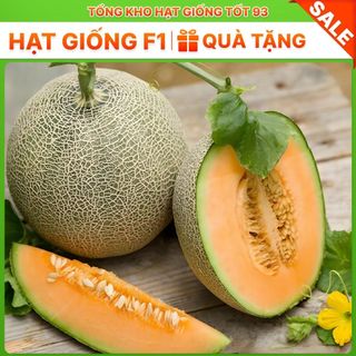 Hạt giống dưa lưới da xanh năng suất cao hàng công ty Loại 1