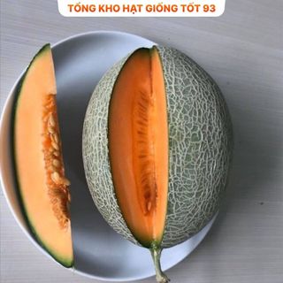 Hạt giống dưa lưới da xanh năng suất cao hàng công ty Loại 1