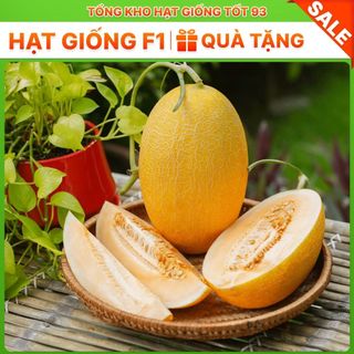 Hạt giống Dưa lưới vàng năng suất cao  hàng công ty Loại 1