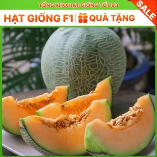 Hạt giống các loại dưa hấu dưa lê, trái cây  F1 nảy mầm tốt (hàng công ty) Loại 1