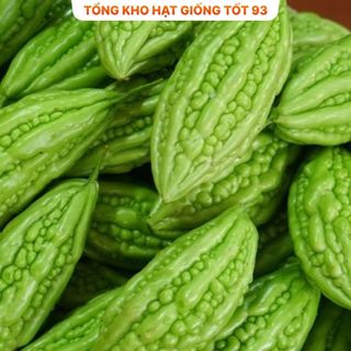 Hạt Giống Mướp Đắng  5 gram hàng công ty Loại 1