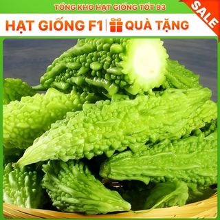 Hạt giống Mướp Đắng chịu nhiệt (gói 5gram) hàng công ty Loại 1