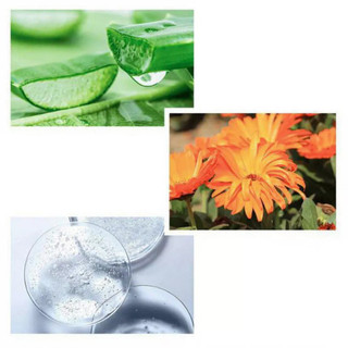 Gel Lô Hội Aloe Vera 100% Hydrogel Stay Young 330ml Hàn Quốc - CÔ THƯ MARKET