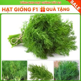 Hạt giống rau thì là 10gr hàng chính hãng- công ty Loại 1