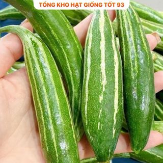 Hạt giống Mướp nhật (lặc lè) năng suất- hàng công ty Loại 1