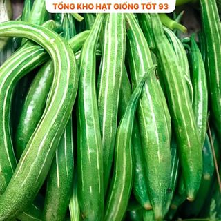 Hạt giống Mướp nhật (lặc lè) năng suất- hàng công ty Loại 1