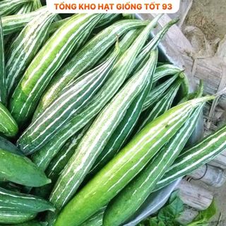 Hạt giống Mướp nhật (lặc lè) năng suất- hàng công ty Loại 1