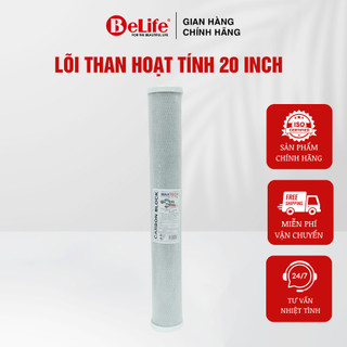 Lõi số 3 CTO 2 IN 1 bán công nghiệp 20 inch than hoạt tính ép lưới dùng cho máy BCN và lọc xử lý nước đầu nguồn than nén