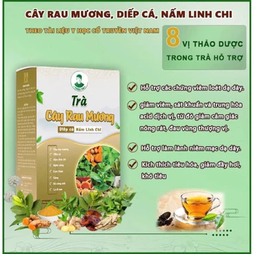 Trà Cây Rau Mương Diếp Cá Nấm Linh Chi nước trà (30TÚI LỌC) hàng chính hãng