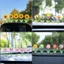 Set 5 bông hoa lò xo trang trí đỉnh màn hình, khung ảnh, gương xe, decor góc làm việc, taplo xe hơi,quà tặng