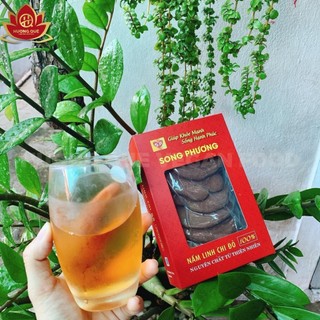 Tai Nấm Linh Chi Song Phương Hộp 100g - TiPiKay Shop